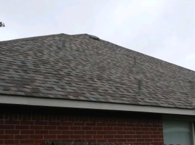 Slide of Expanded Roofing