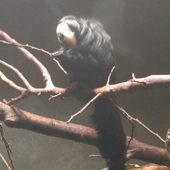 Toronto Zoo - Zoos Near Me - Toronto, Ontario Toronto Zoo - Zoos Near Me - Toronto, Ontario