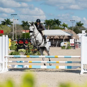 White Oak Equestrian - Horse Boarding Near Me - Southwest Ranches, Florida White Oak Equestrian - Horse Boarding Near Me - Southwest Ranches, Florida