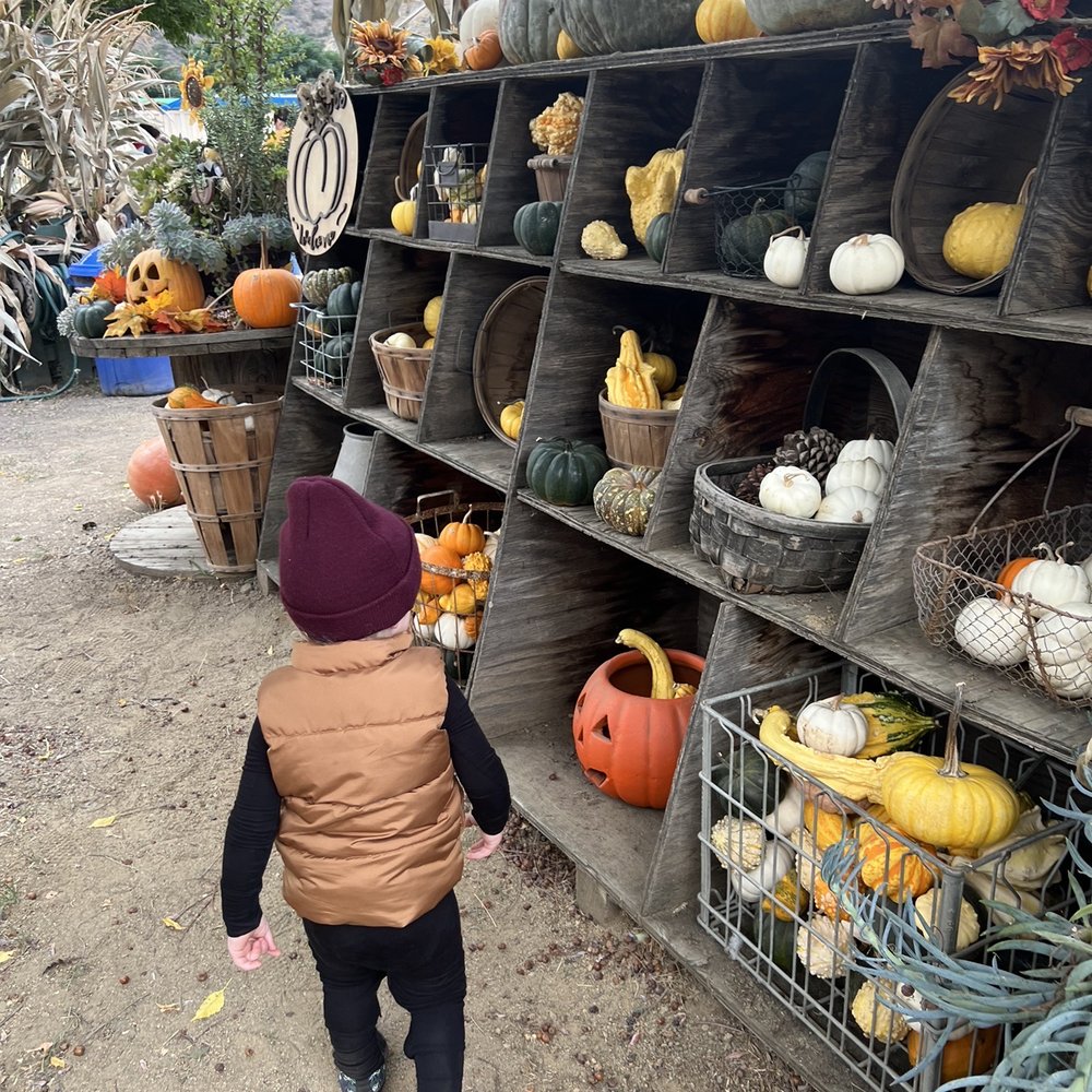 Oma's Family Farm - Pumpkin Patches Near Me - Lakeside, California