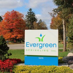 Evergreen Sprinkling