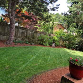 Mighty Mow - Lawn Services Near Me - Auburn, Washington
