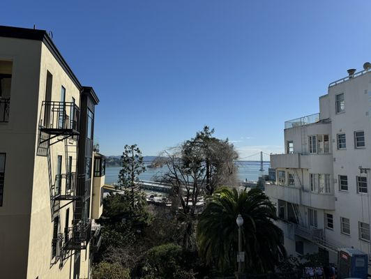 Filbert Steps by null