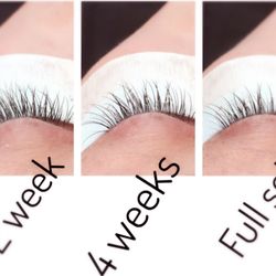 Lash Dat - The Lash Cycle