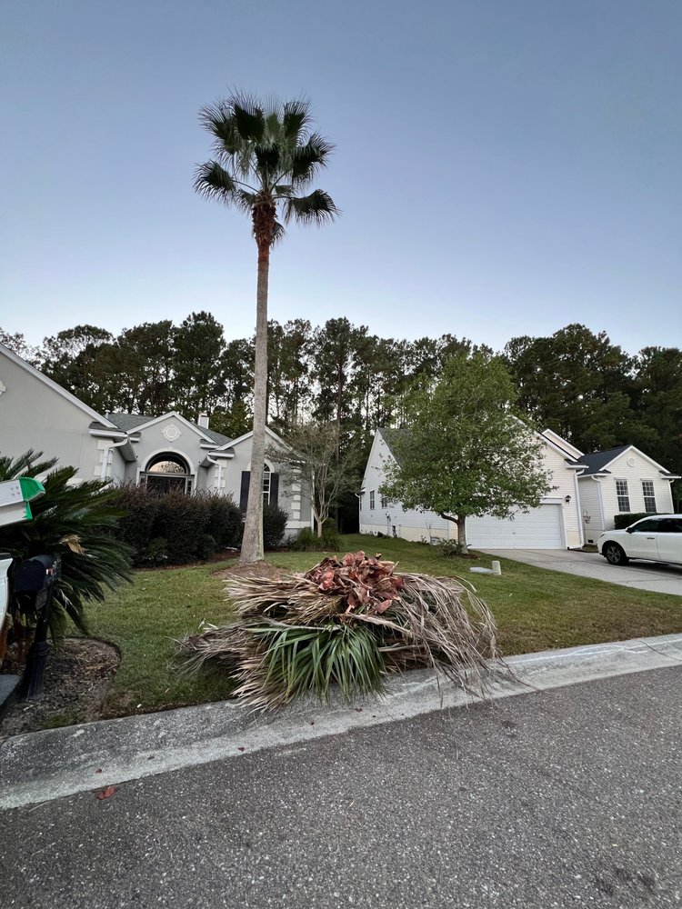 Lopez Tree Services - tree service in Charleston, SC