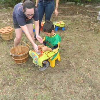 Tiny Tails To You - Petting Zoos Near Me Tiny Tails To You - Petting Zoos Near Me