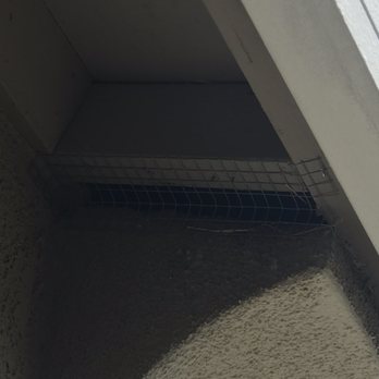 Ruffled Feathers Bird Control - Pest Control Near Me - Sacramento, California
