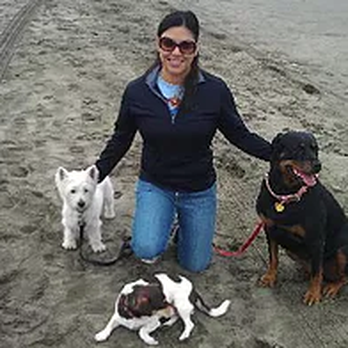 On The Go Pet Care - Pet Sitting Near Me On The Go Pet Care - Pet Sitting Near Me