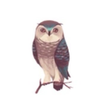 Wise Owl Accounting - Tax Services Near Me Wise Owl Accounting - Tax Services Near Me