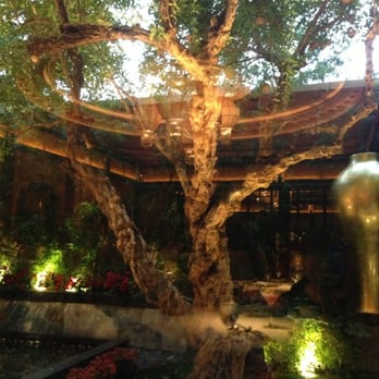 Wing Lei - The pomegranate tree it's over 100 years old and was imported from China - Chinese Near Me - Las Vegas, Nevada Wing Lei - The pomegranate tree it's over 100 years old and was imported from China - Chinese Near Me - Las Vegas, Nevada