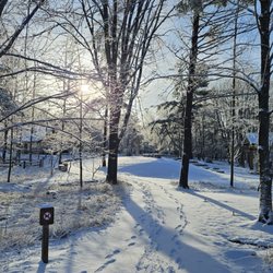 Schmeeckle Reserve - Winter is a quiet time to visit Schmeeckle
