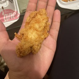 a hand holding a piece of fried chicken a hand holding a piece of fried chicken