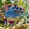 Palmetto Superfoods gift card
