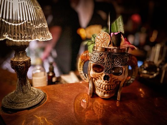 The Blind Rabbit by null