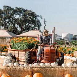 LJB Farms - 2025