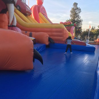 ABC Tree Farms - Skye and Matt are here - Pumpkin Patches Near Me - San Jose, California