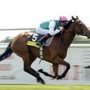 Photo of Racing Home