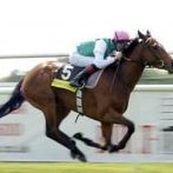 Racing Home