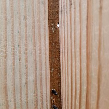 Phillips Repairs - Job by Carry Phillips....exposed screws and he only put a latch on outside of gate.  How do you get out?  He says we are being "piddly" - Handyman Near Me