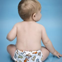 Diaper Lab - Baby in Rumparooz One Size Diaper (Kangaroo Print)