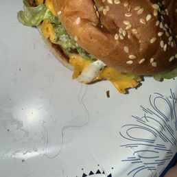 Hairy burger Hairy burger