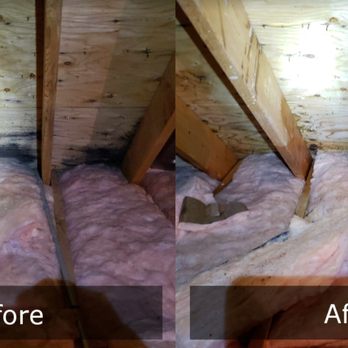 Mold Busters Logan - Before and after mold removal - Damage Restoration Near Me Mold Busters Logan - Before and after mold removal - Damage Restoration Near Me