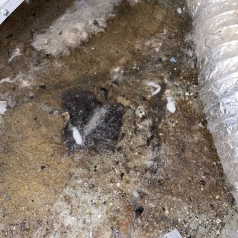 GC Realty & Development - Basement floor - Property Management Near Me - Roselle, Illinois