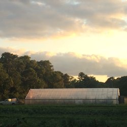 Bay End Farm Organic Produce