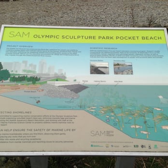 Olympic Sculpture Park - Olympic sculpture park pocket beach - Parks Near Me - Seattle, Washington Olympic Sculpture Park - Olympic sculpture park pocket beach - Parks Near Me - Seattle, Washington