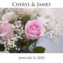 Photo of White Rabbit Memories