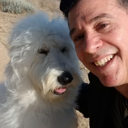 My puppy on a beach walk.