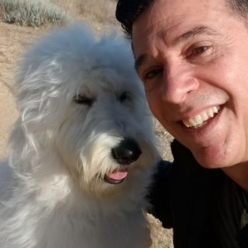 El Club de Nana - My puppy on a beach walk. - Veterinarians Near Me - Tijuana, BCN