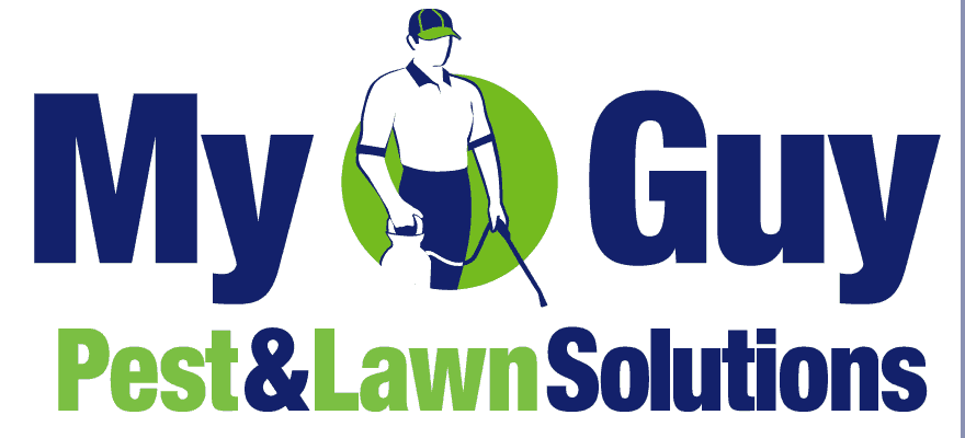 My Guy Pest and Lawn Solutions - tree service in Orem, UT