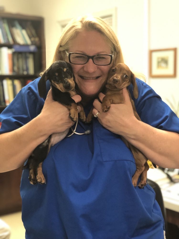 GERMANTOWN PARKWAY ANIMAL HOSPITAL Updated July 2024 67 Photos & 10