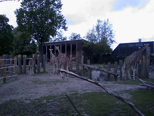 Copenhagen Zoo by null