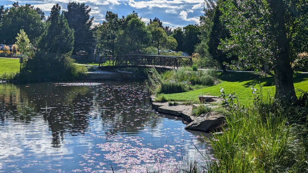 William McKinley Carson Park Image