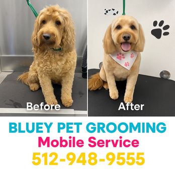 Bluey Pet Grooming - Pet Groomers Near Me Bluey Pet Grooming - Pet Groomers Near Me