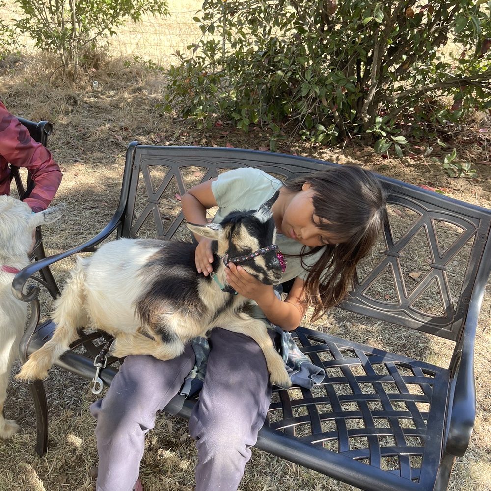 Back-to-Eden Ranch - Attraction Farms Near Me - Gilroy, California