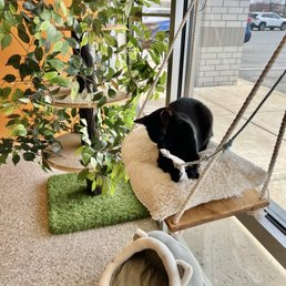 Outside Outside