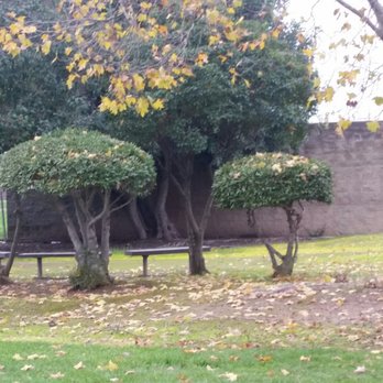 Crofoot Park - Parks Near Me - Sacramento, California