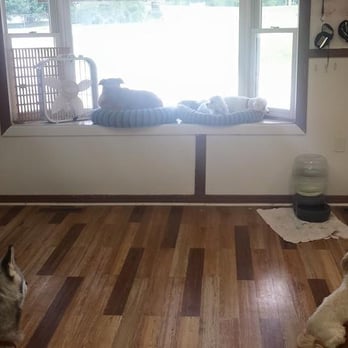 The Hound Hut - Pet Sitting Near Me - Fletcher, North Carolina The Hound Hut - Pet Sitting Near Me - Fletcher, North Carolina
