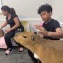 Hope Kids