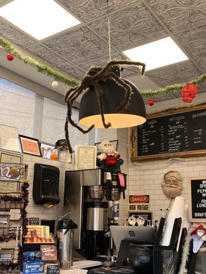 Nautilus Roasting Co - Coffee House by null