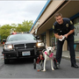 Photo of K9 Carts