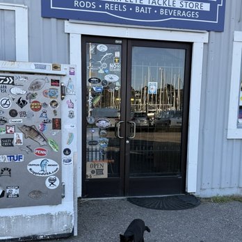 Bayside Marine - Shop kitty, very friendly - Boat Dealers Near Me - Santa Cruz, California Bayside Marine - Shop kitty, very friendly - Boat Dealers Near Me - Santa Cruz, California