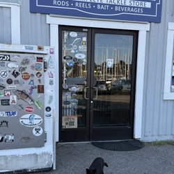 Bayside Marine - Shop kitty, very friendly
