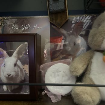 Small Paws Cremations - Pet Cremation Services Near Me - Los Angeles, California