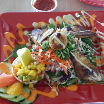 Taco Temple - Black king fish taco, an artistic creation that tastes as great as it looks. - Mexican Near Me - Morro Bay, California Taco Temple - Black king fish taco, an artistic creation that tastes as great as it looks. - Mexican Near Me - Morro Bay, California