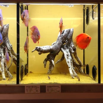 Megazoo - Pet Stores Near Me - Schönefeld, BB