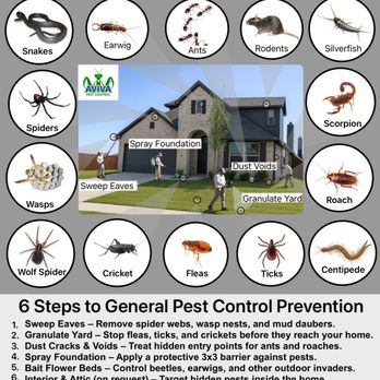 AVIVA Pest Control - 6 step process to preventive pest control at AVIVA Pest Control - Pest Control Near Me - Sherman, Texas AVIVA Pest Control - 6 step process to preventive pest control at AVIVA Pest Control - Pest Control Near Me - Sherman, Texas